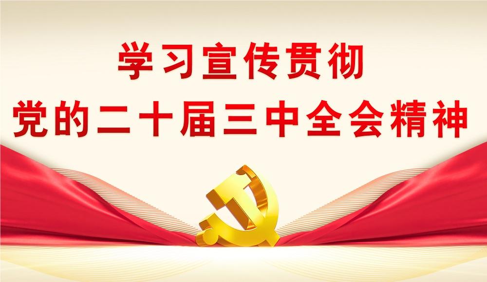 【專題】學(xué)習(xí)宣傳貫徹黨的二十大三中全會精神