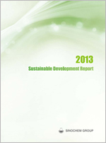 Sustainable Development Report 2013