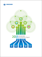 Sustainable Development Report 2015